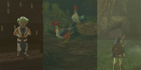 kakariko cuccos|How To Find The Cuccoos Hiding Place Zelda: Tears .